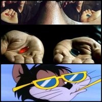 Прикольные и смешные картинки