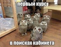 Намешалось