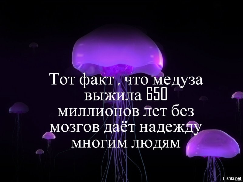 Прикольные и смешные картинки