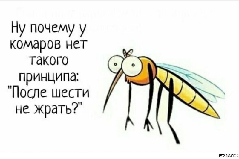 Солянка от 04.09.2020