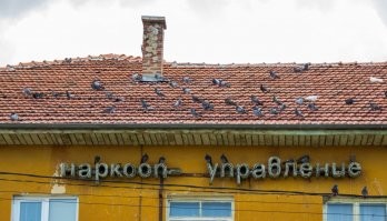 Прикольные и смешные картинки