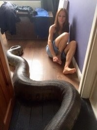 свекровь приехала