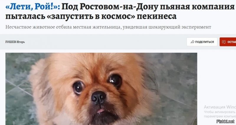 Солянка от 05.09.2020