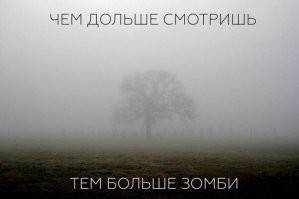 Прикольные и смешные картинки