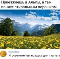 Прикольные и смешные картинки