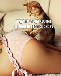 Не ищите здесь смысл. Здесь в основном маразм