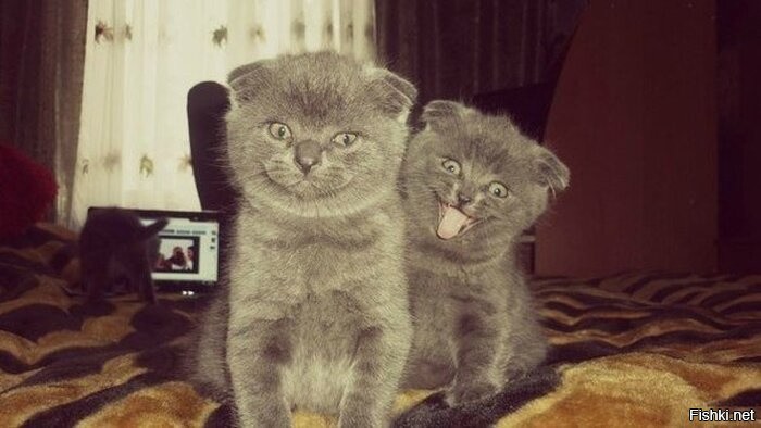 Солянка от 05.09.2020