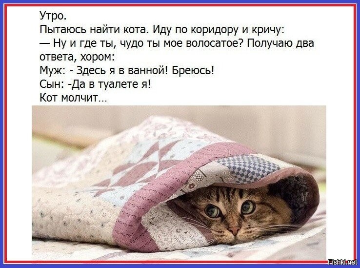 Солянка от 05.09.2020