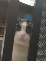 Прикольные и смешные картинки