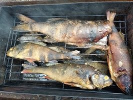 а мы чуть дальше в этом году забрались. р. Умба и Белое море. Рыбалка тоже удалась. У меня ТАКАЯ щука сошла у борта. Минут 10 боролся, раз 5 в сачек заводили, уходила. в итоге сошла( но впечатлений - море!