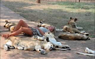 кто где валяется