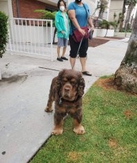 А это кто с кем?