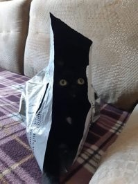 Прикольные и смешные картинки