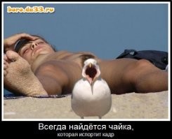 Прикольные и смешные картинки