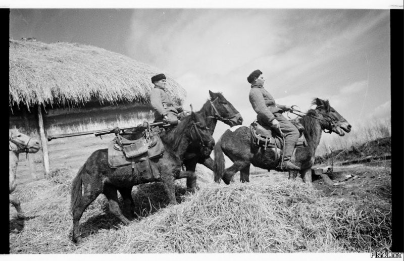 А суть этих, как показана?
Более 98% потомственных казаков, призывного возраста, прошли службу в рядах РККА. например, самый результативный танкист РККА и самый результативный танкист (за единицу времени) в мире Лавриненко был потомственным казаком.
Некоторые части РККА на 100% состояли из казаков. Почти 300 человек из состава этих частей (только чисто казачьих) были удостоены звания героя Советского Союза.
Чисто казачьей была 18-я гвардейская тяжелая танковая дивизия РККА.
По предложению Сталина, для казаков была выделена отдельная колонна на параде Победы в 1945 году.