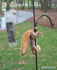 Все познается в сравнении