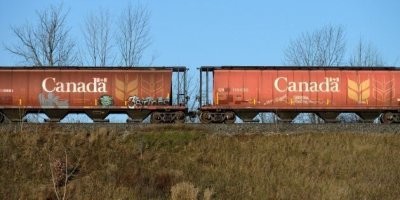 Канада может легко увеличить объем.. Как говорил Остап Бендер - не делайте из еды культа..