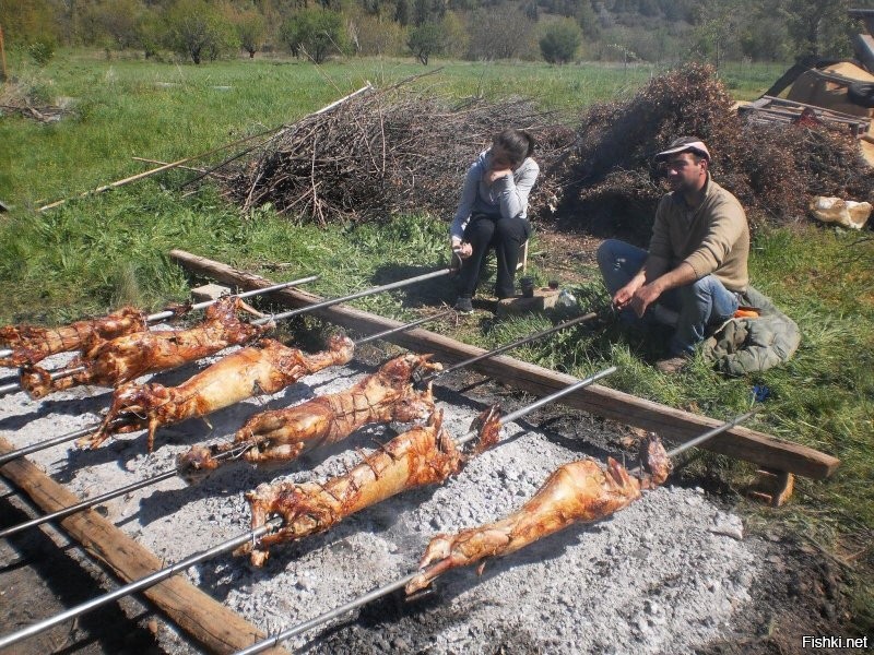 вставлю свои пять копеек...