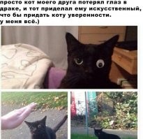 Если это работает, значит это не глупо: 14 примеров