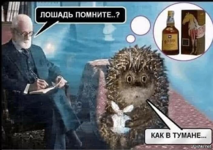 Солянка от 06.09.2020