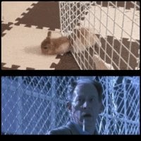 Гифки разные