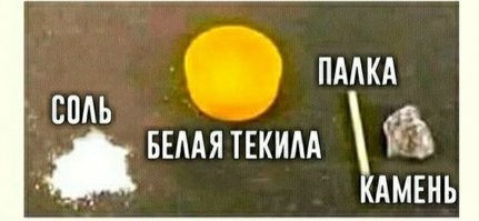 4 всадника апокалипсиса или 4 вида таракана, которые принесут беду в ваш дом