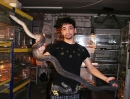 Помню, был такой видеоблогер, содержавший разных рептилий...

Ему изменила девушка, он психонул и позволил черной мамбе себя укусить, но скорую все же вызвал... Однако ему это уже не помогло...

Интересные у него были видосы.