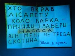 Прикольные и смешные картинки