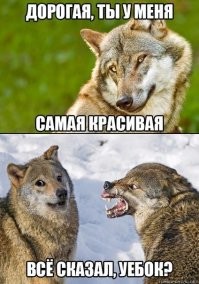 Прикольные и смешные картинки