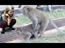 Прикольные и смешные картинки