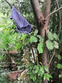 Автор, может быть это все-таки ТРУСЫ, а не "трусики", блать