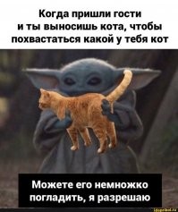 Да пофиг что там в заголовке (это все равно сложно показать, надо видеть), посмотрите какой котяра-то, такого и показывать не грех! :D