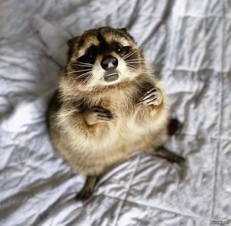 Солянка от 07.09.2020