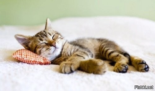 Солянка от 07.09.2020