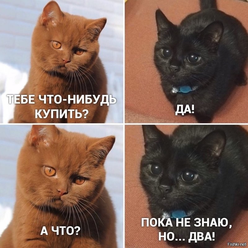 Солянка от 07.09.2020