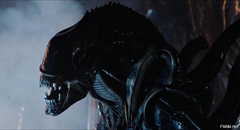 - "Аааааааааа. Хороша, чертовка".