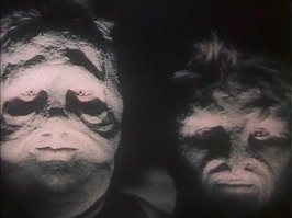 Прикольные и смешные картинки