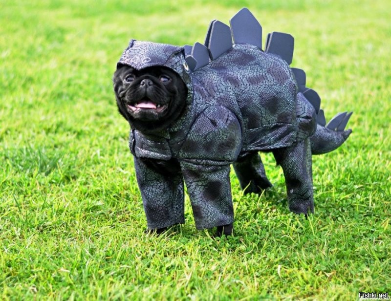 Классный зАмок. А будку можно в форме пещеры дракона сделать...