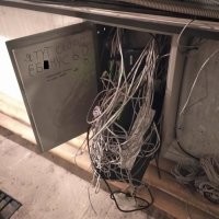 Настоящий крик души