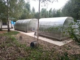 "Залейте бетоном. Или асфальтом" 

Х-ха! Мой батя так и сказал, что бы меньше косить, будем больше "класть плитку"! 
И забабахали ещё полсотни квадратных метров.