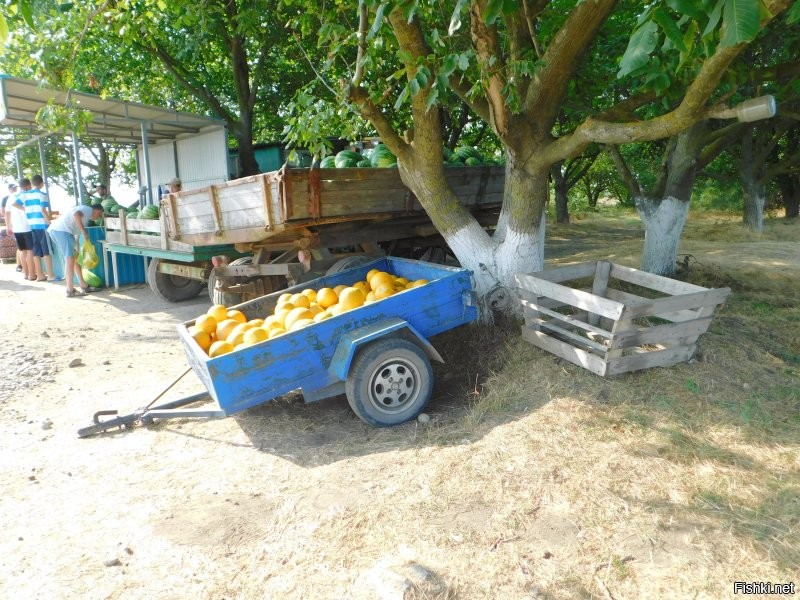 за Крымском