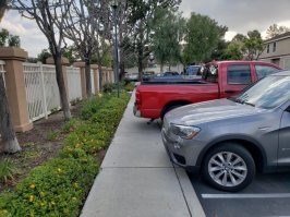 Вот аналогично сейчас у меня машина стоит, только мордой на дорожке. Потому что парковка сделана так, что либо мордой на дорожке, либо жопа на пол первой полосы торчит. И знак именно с табличкой 8.6.5 - Мордой к тротуару....