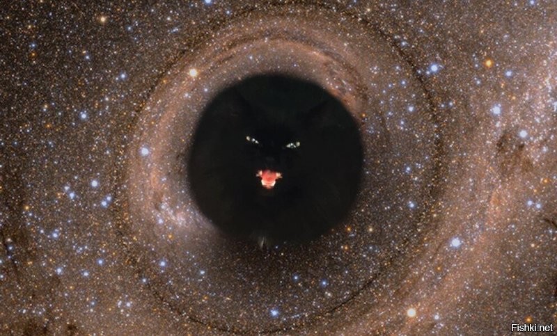 Солянка от 08.09.2020