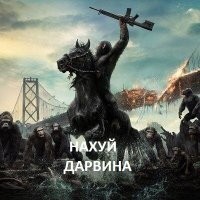 Дарвина уволят из Музея естественной истории