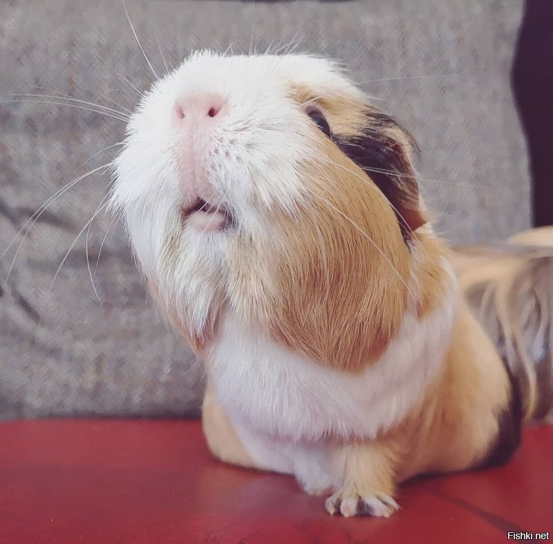 Всем добра)