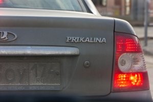 Прикольные и смешные картинки