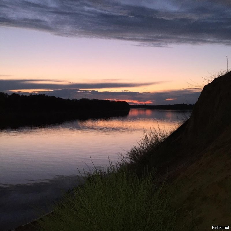 Солянка от 08.09.2020