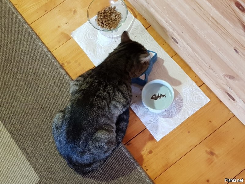 Солянка от 08.09.2020