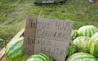 Почему этим летом подорожали арбузы?