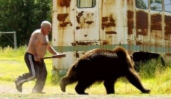 Медведь напал на туристическую палатку в Пермском крае